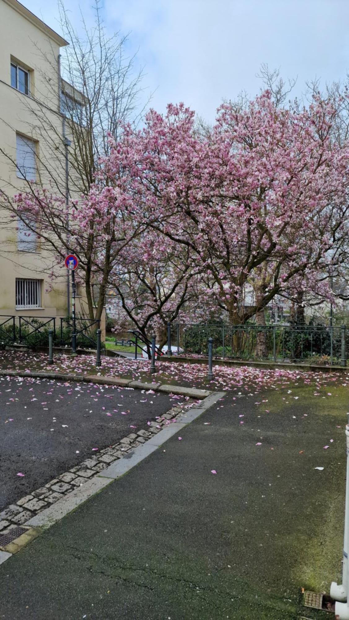 Centre Rennes